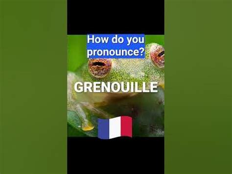 grenouille pronunciation.